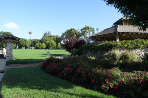 Memorial Park